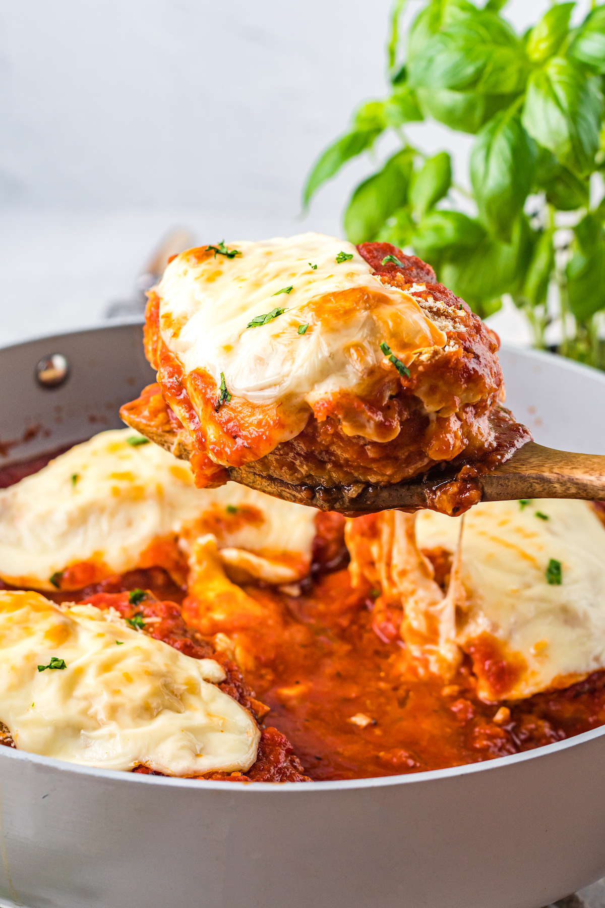 Chicken parmesan on a wooden spoon. 