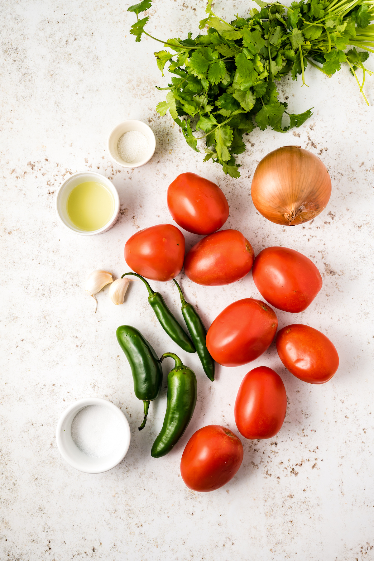 Ingredients for restaurant-style salsa.