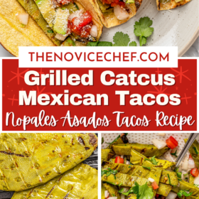 Grilled cactus, strips of grilled cactus in a bowl with onions, tomato, cilantro and then stuffed in corn tortillas.