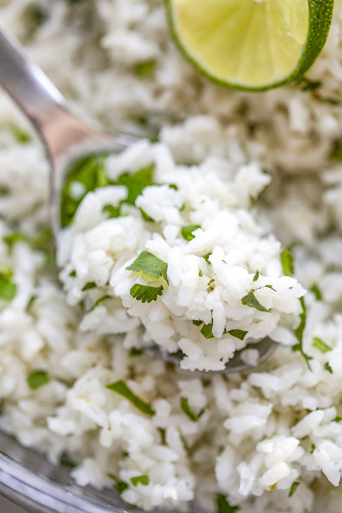 Close-up of a spoonful of cilantro rice in a bowl. 