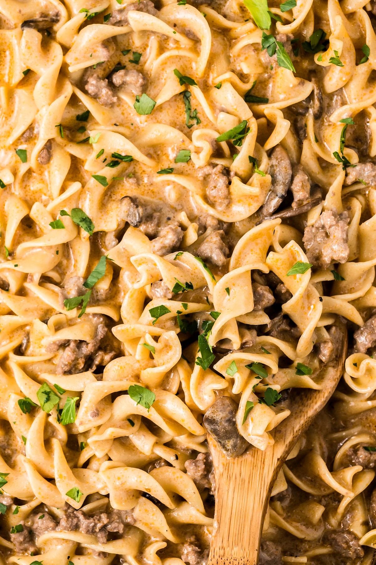 Close-up of ground beef stroganoff to show texture of ingredients.