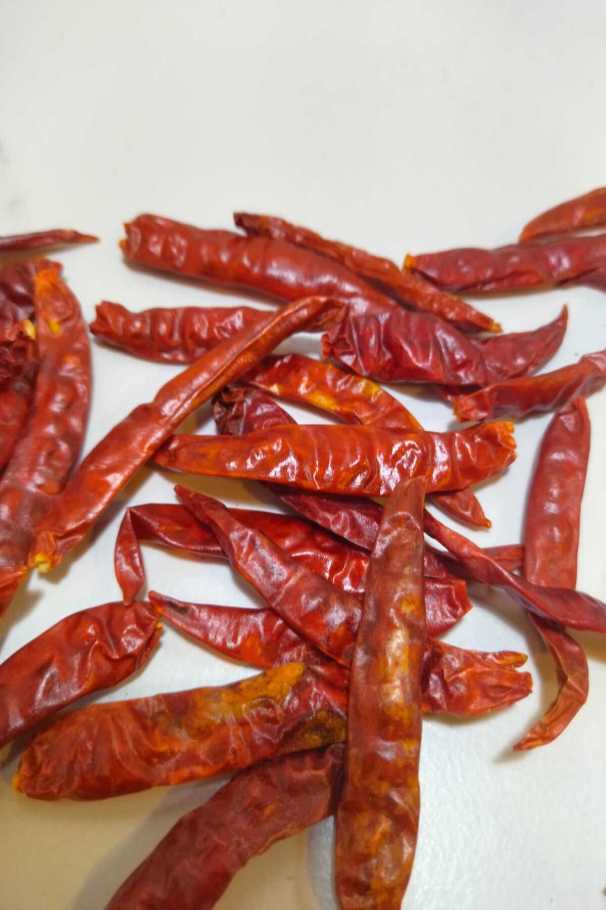Close-up of chile de árbol on the counter.
