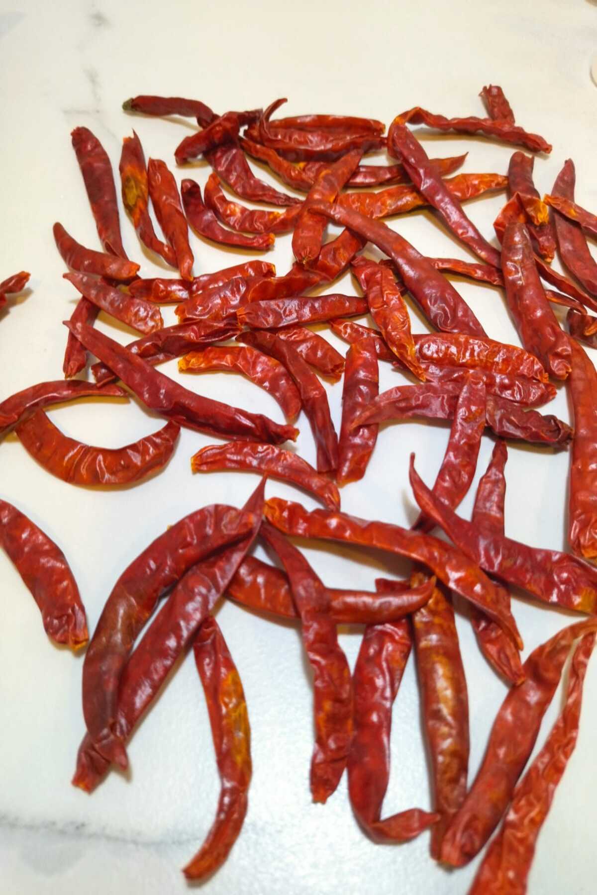 Spread-out chile de árbol on the counter.