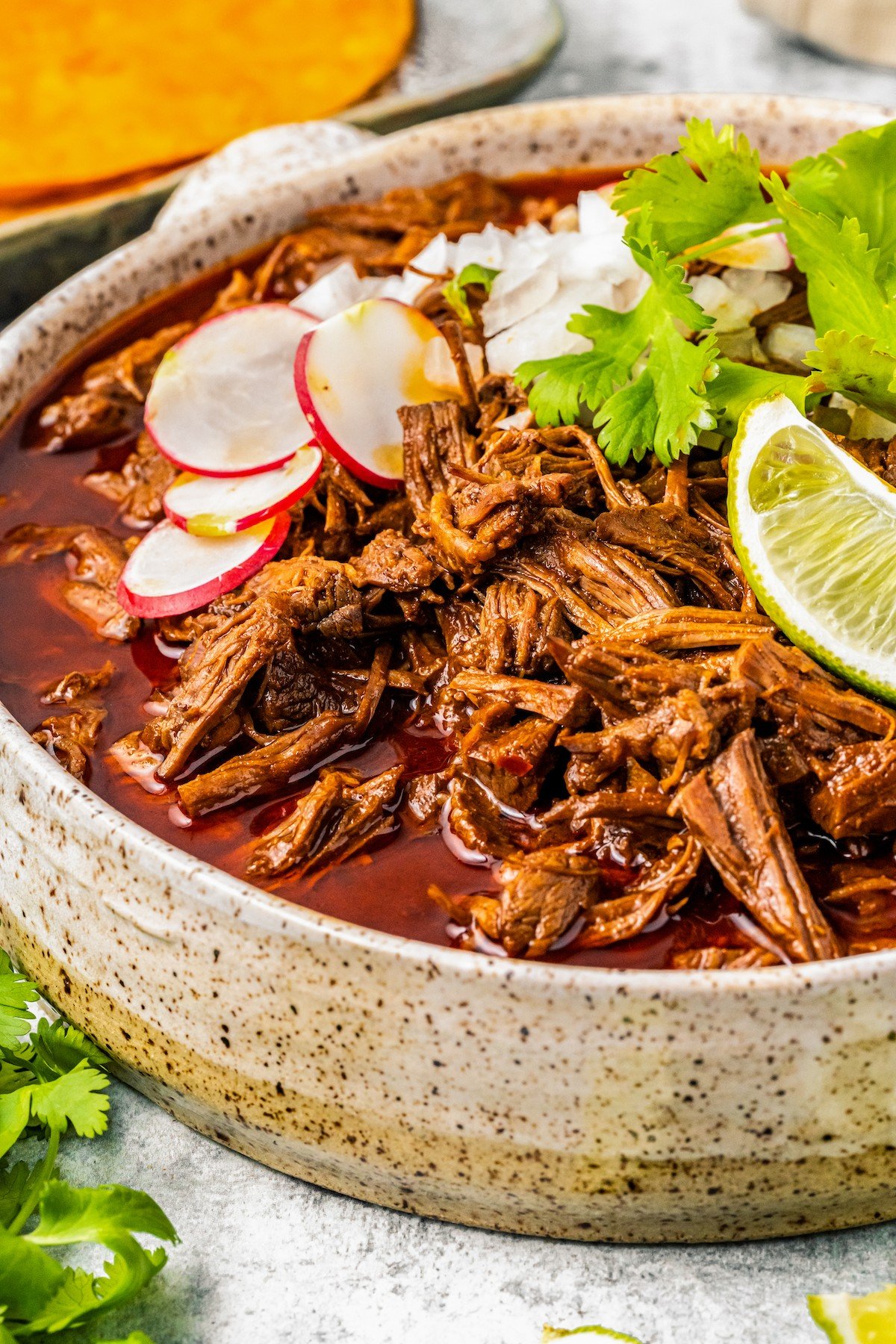 Close-up of beef birria in a bowl with toppings. 