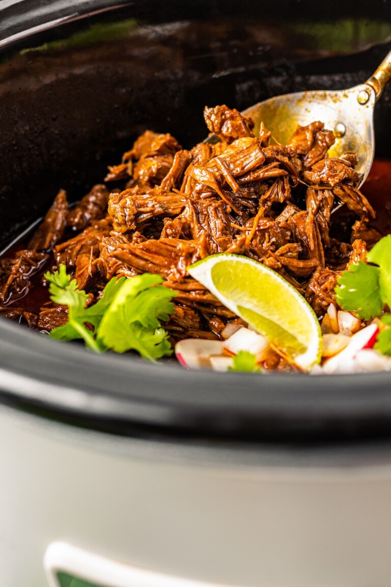 Crockpot Birria Recipe The Novice Chef