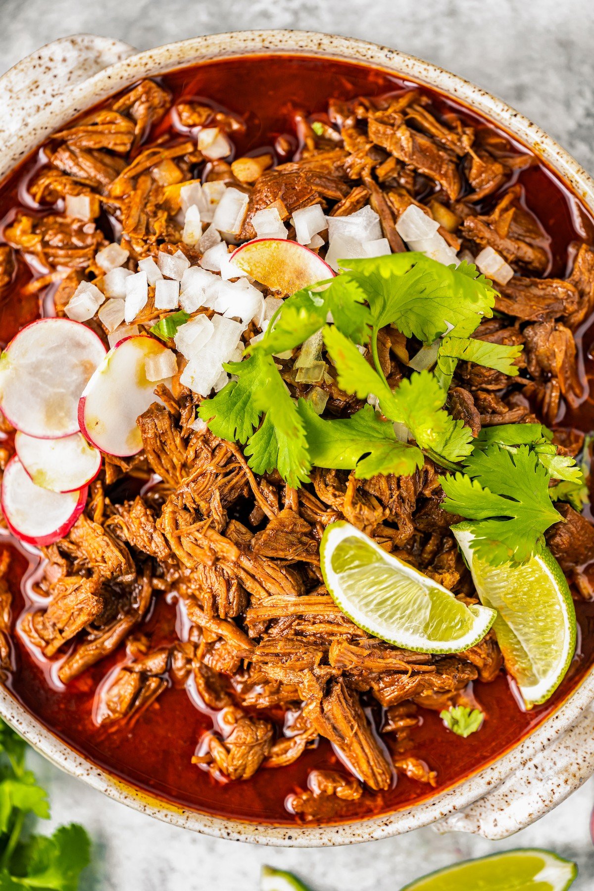 Beef birria with onion, radishes, cilantro, and a lime wedge. 