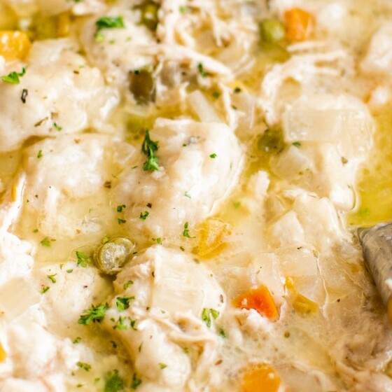 Close-up shot of chicken and dumplings with biscuits.