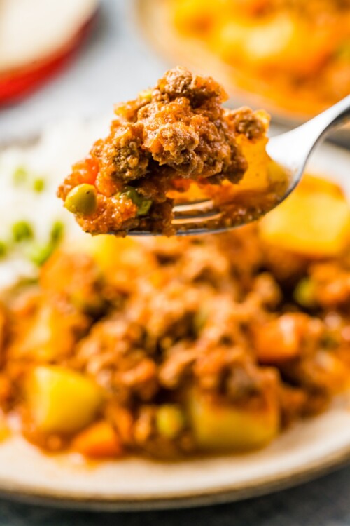 Mexican Picadillo Recipe with Potatoes | The Novice Chef