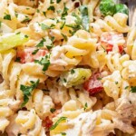 Pasta salad with homemade dressing and canned tuna.