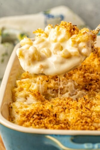 The Best Easy Baked Mac and Cheese Recipe | The Novice Chef