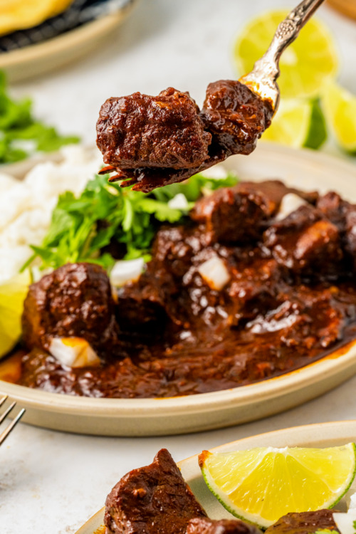 Carne Adovada Recipe | The Novice Chef