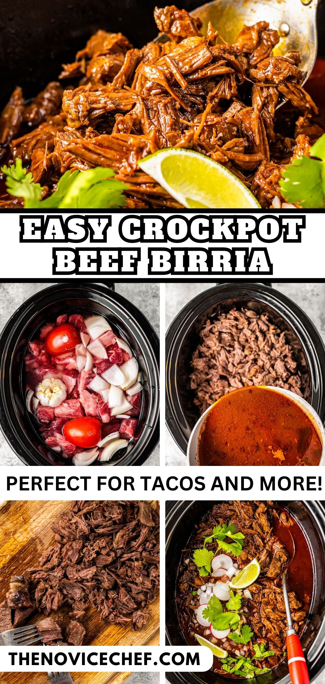 Crockpot Birria Recipe The Novice Chef