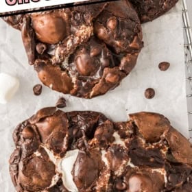 Chocolate marshmallow cookies are presented on a sheet of parchment paper.