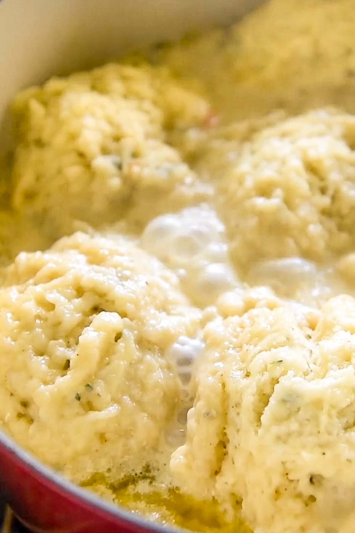 https://thenovicechefblog.com/wp-content/uploads/2023/07/Homemade-Chicken-and-Dumplings-6.jpg