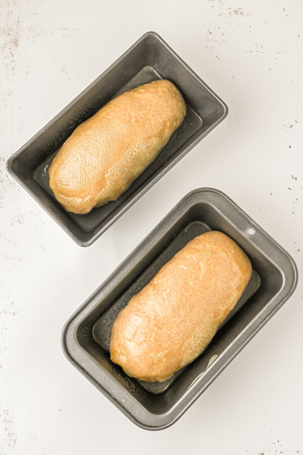 Dough in greased loaf pans.