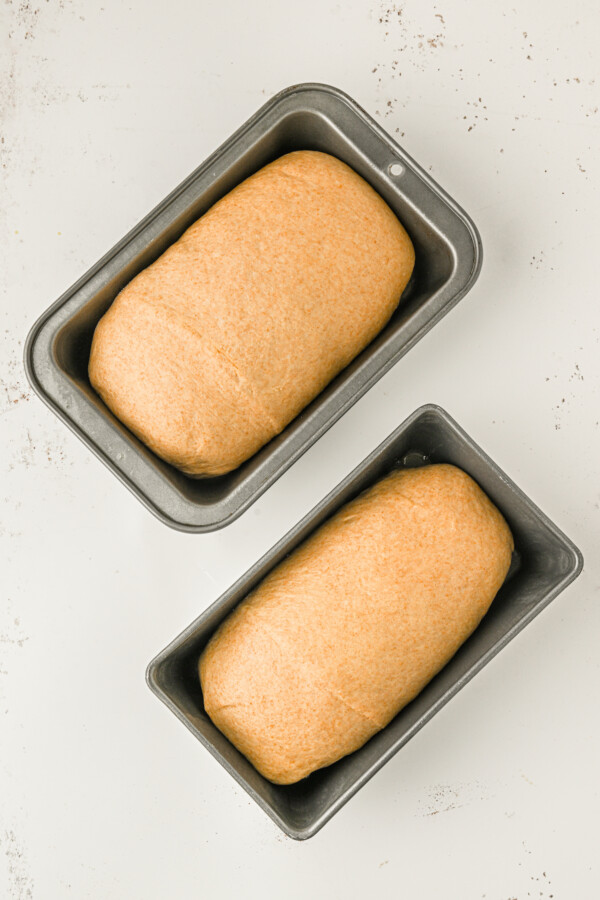 Risen dough in greased loaf pans.