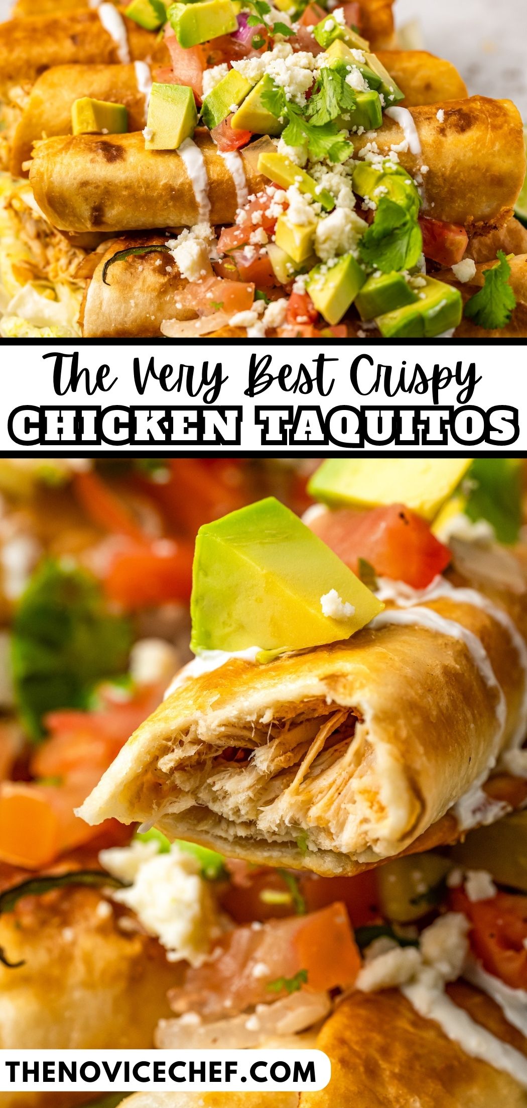 Best Chicken Taquitos Recipe The Novice Chef