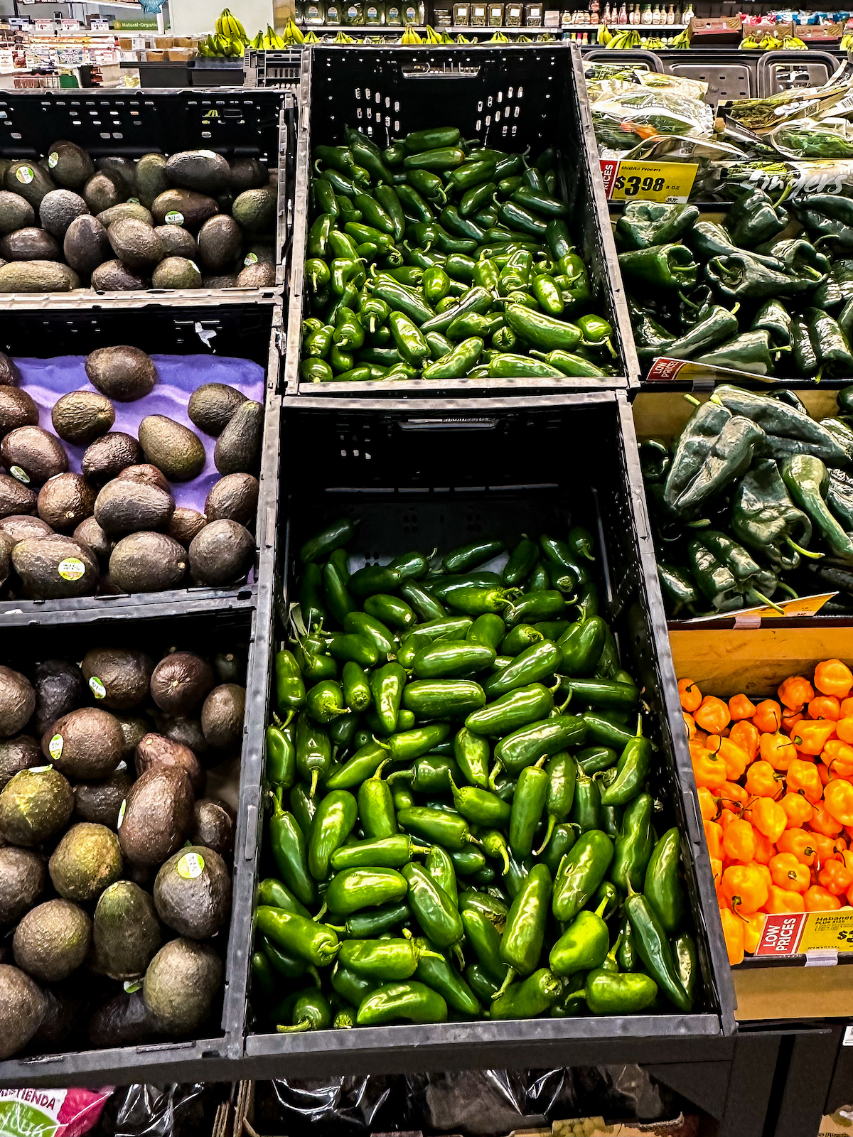 Jalapeños in produce baskets at grocery store.