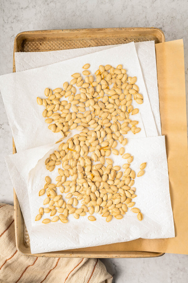 Drying pumpkin seeds on paper towels.