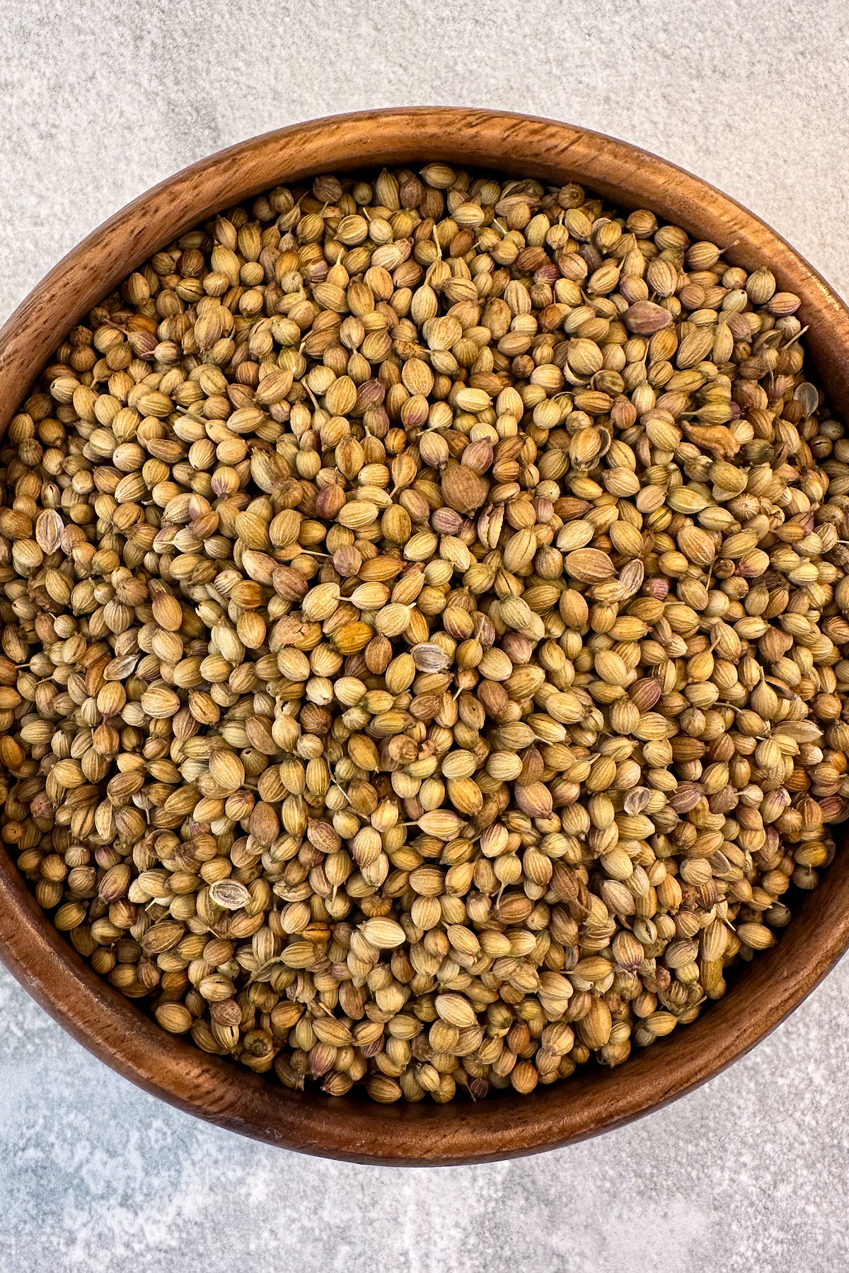 A bowl of whole coriander seeds.