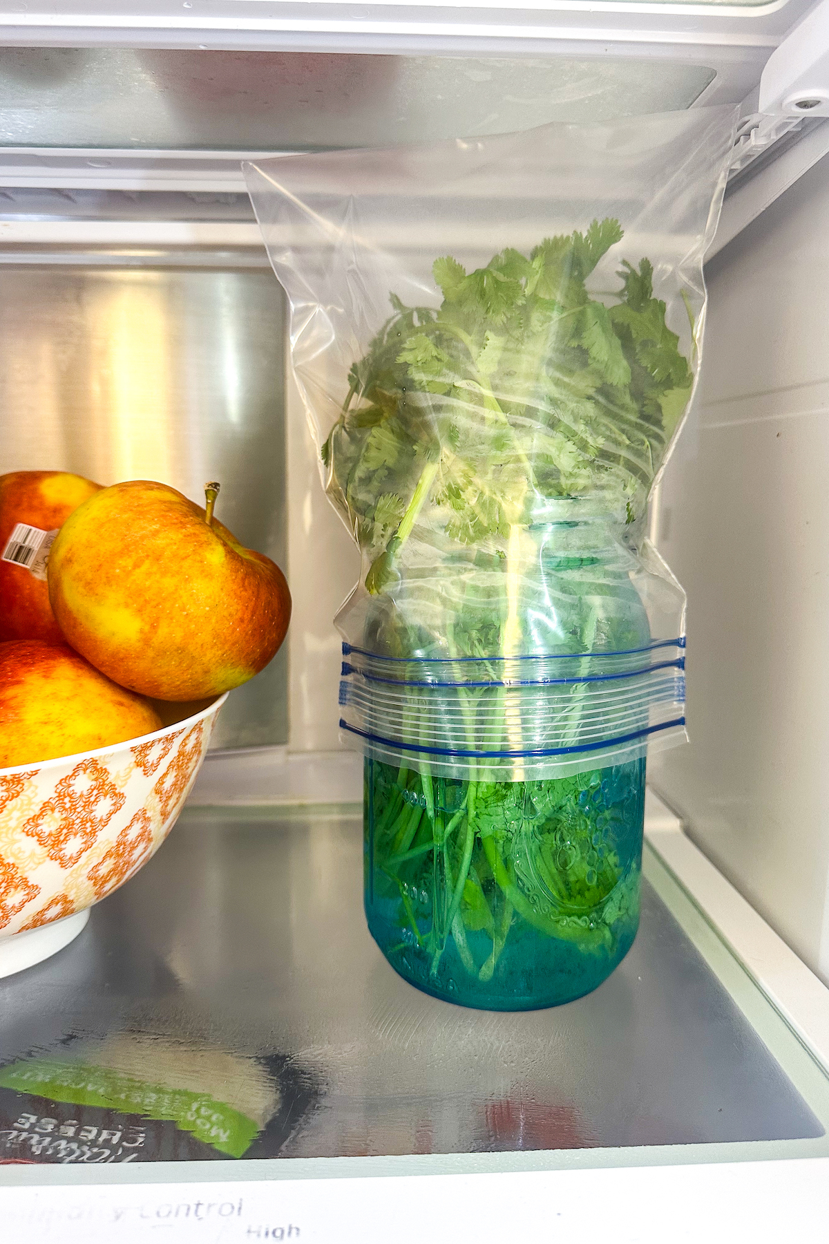 A bunch of fresh cilantro in a jar filled with water with a ziplock bag on top in a fridge.