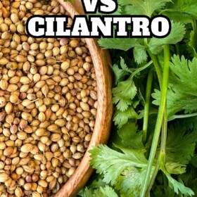 A bowl of whole coriander seeds next to a bunch of fresh cilantro.