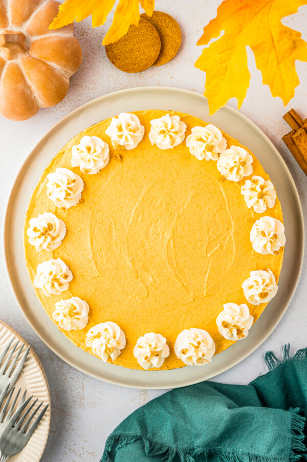 A no bake pumpkin cheesecake decorated with whipped cream and gingersnap crumbs.