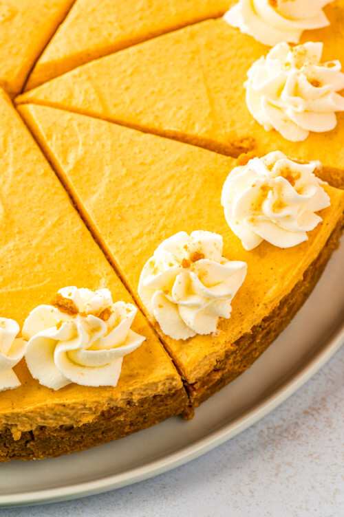 No Bake Pumpkin Cheesecake The Novice Chef