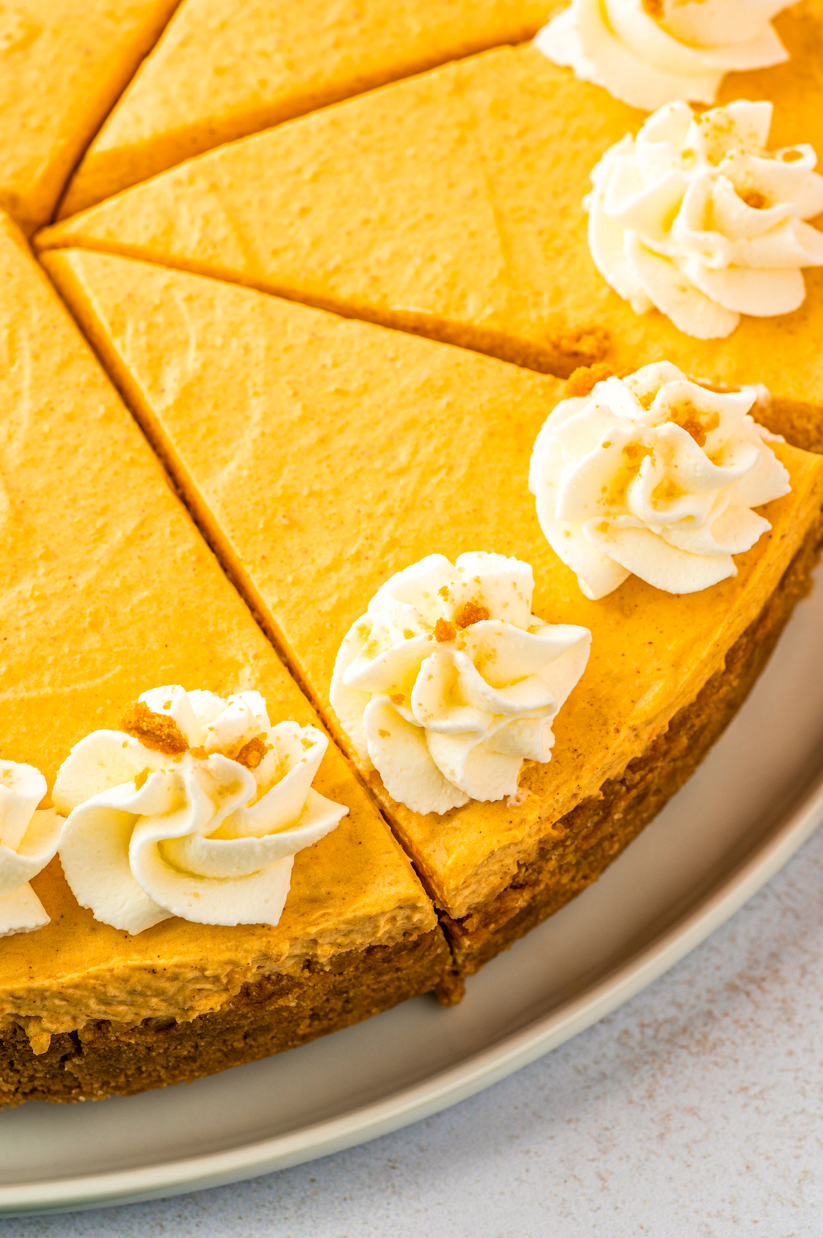 Close-up, overhead shot of pumpkin cheesecake.