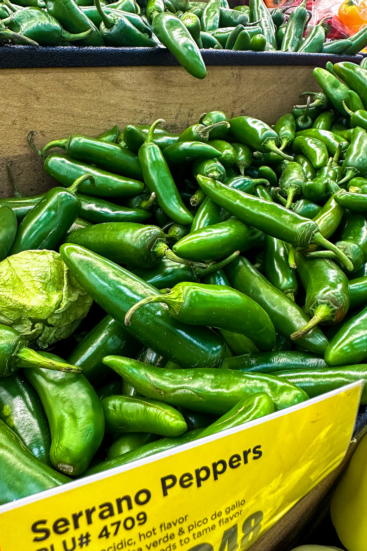 Serrano peppers in a bin with a label at the store.