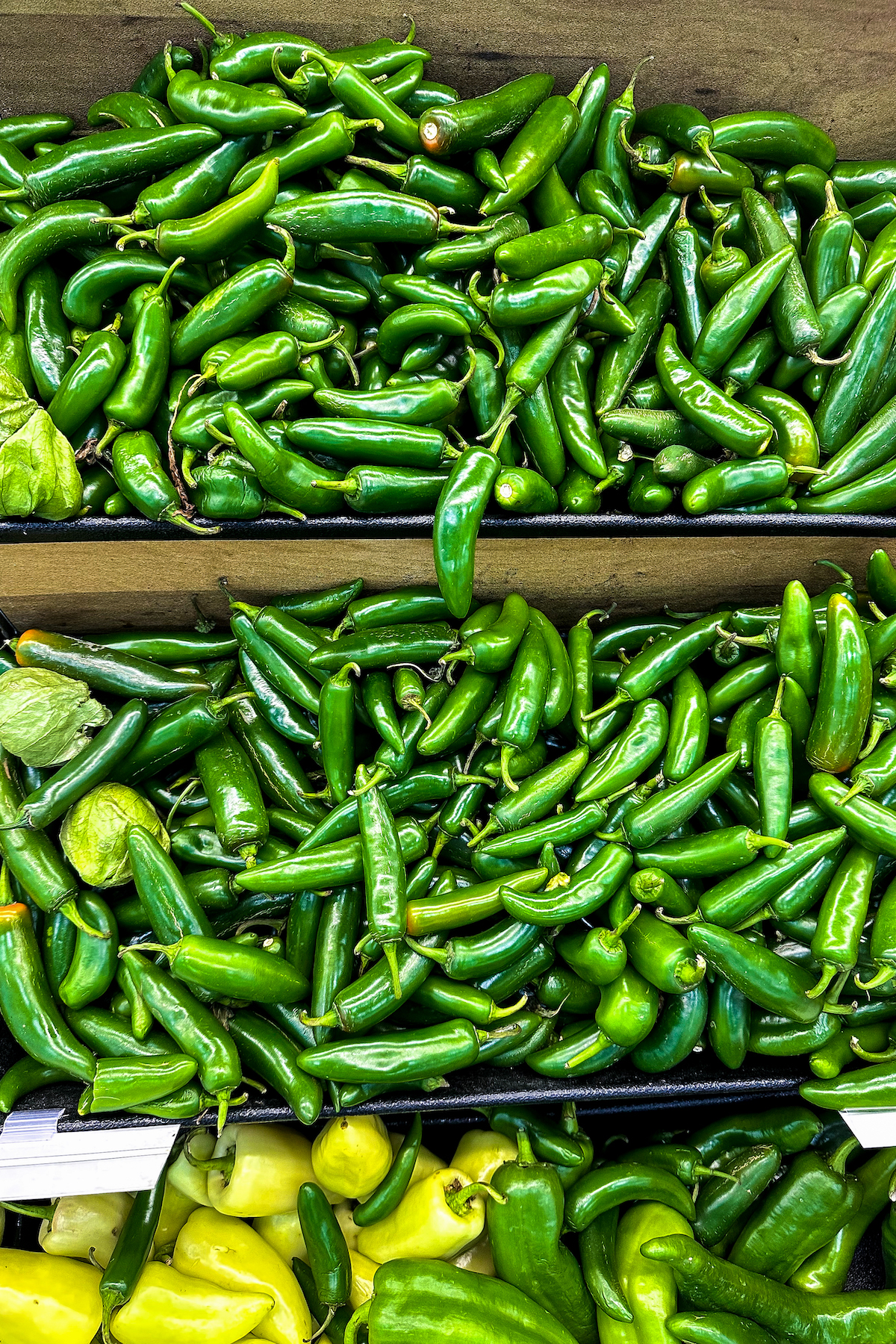 Serrano peppers in bins at the grocery store.
