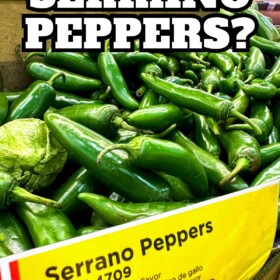 Serrano peppers in a bin at the grocery store.