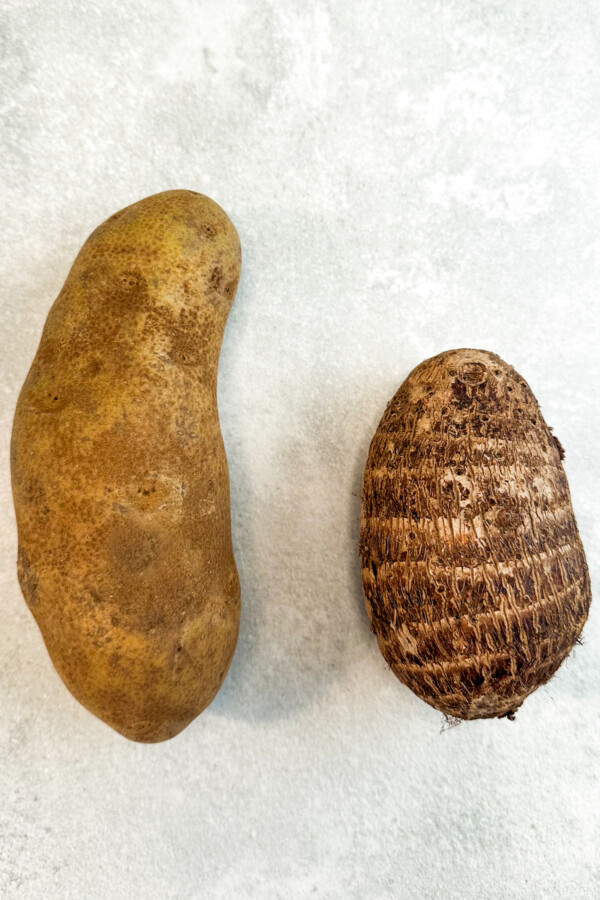 A baking potato next to a taro root.