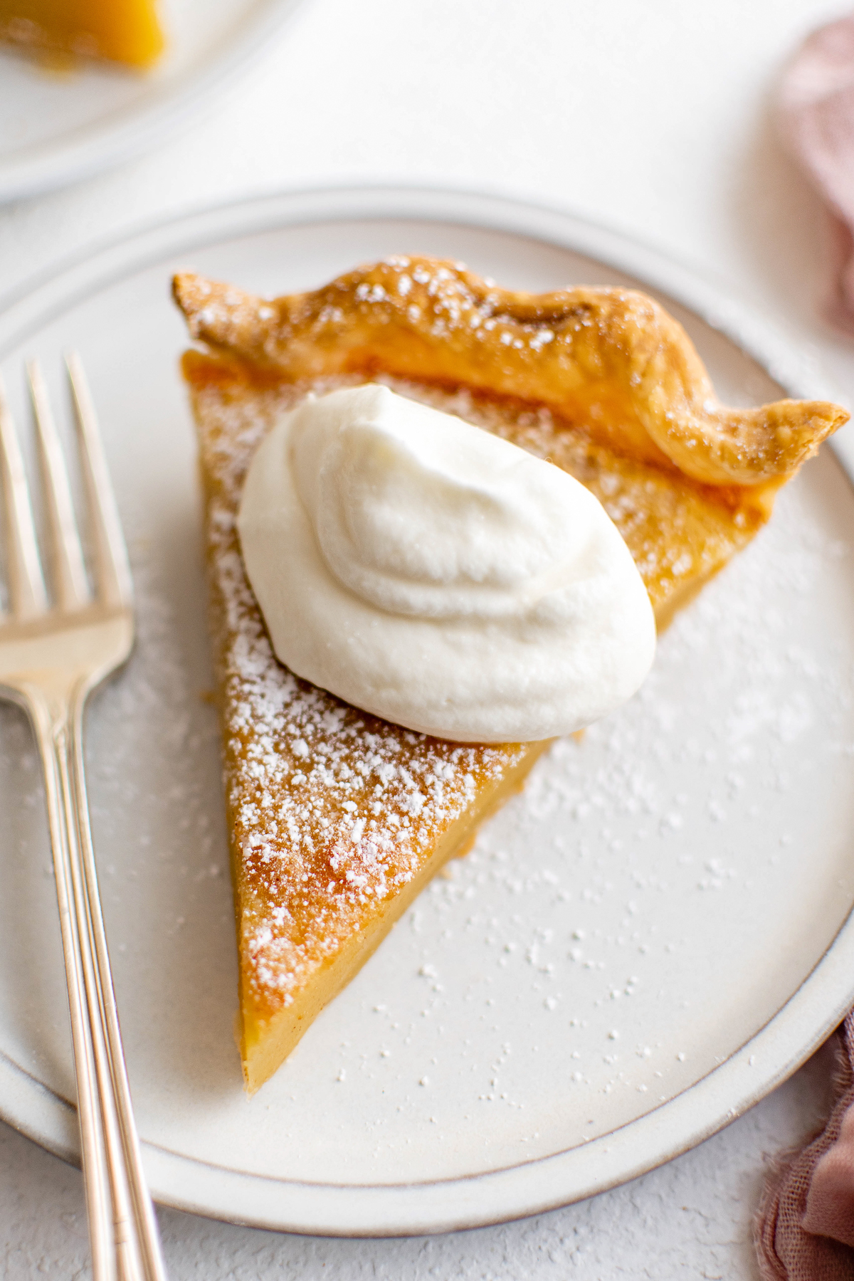 Vinegar pie slice topped with whipped cream.