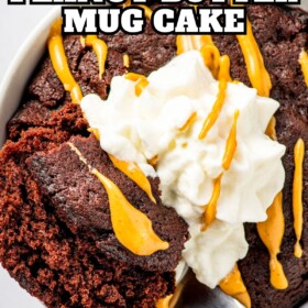 Chocolate Peanut Butter Mug Cake with peanut butter and whipped cream on top.
