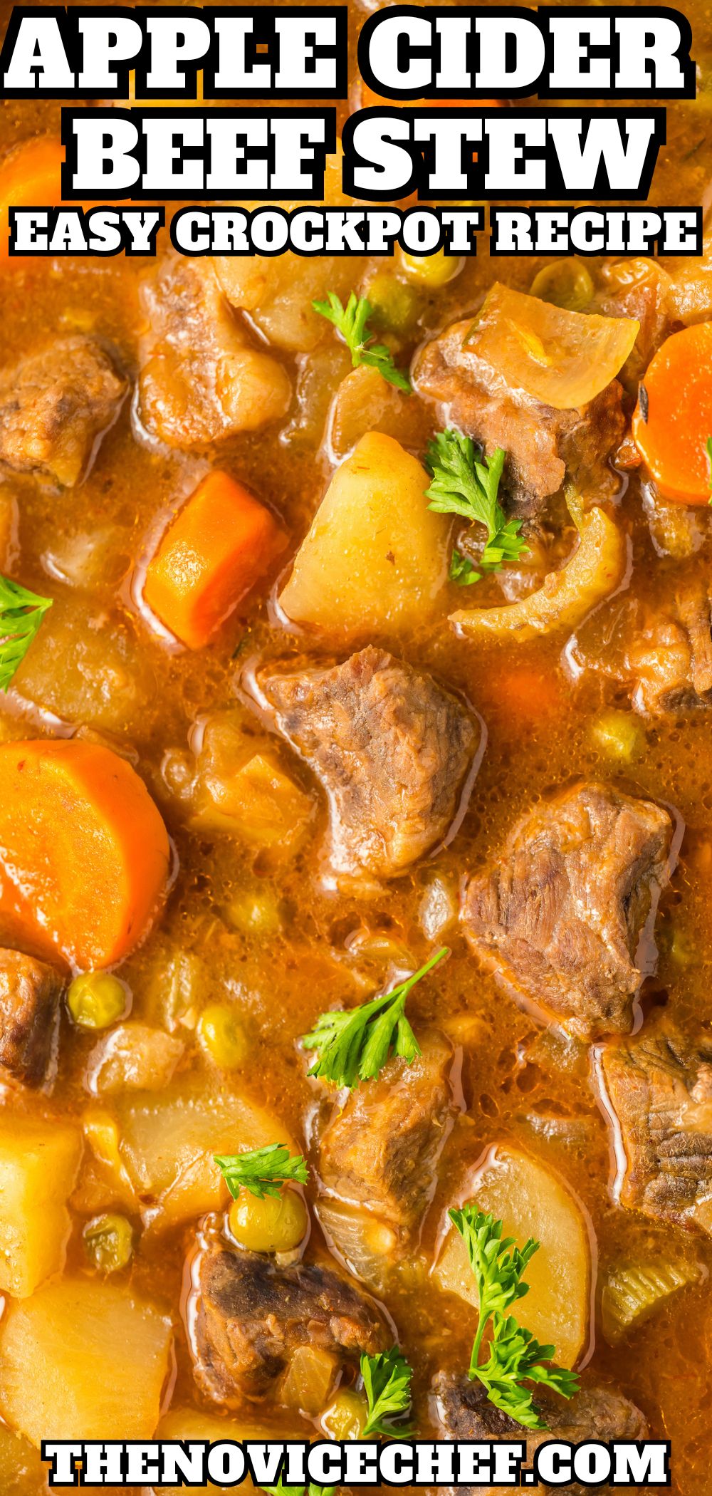 Slow Cooker Beef Stew with Apple Cider The Novice Chef