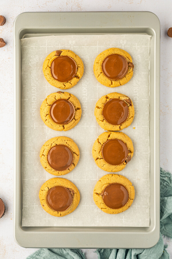 Warm Reeses cookies sit on a baking sheet.