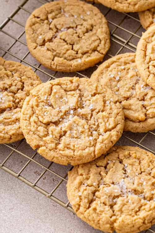 Best Chewy Peanut Butter Cookies Recipe | The Novice Chef