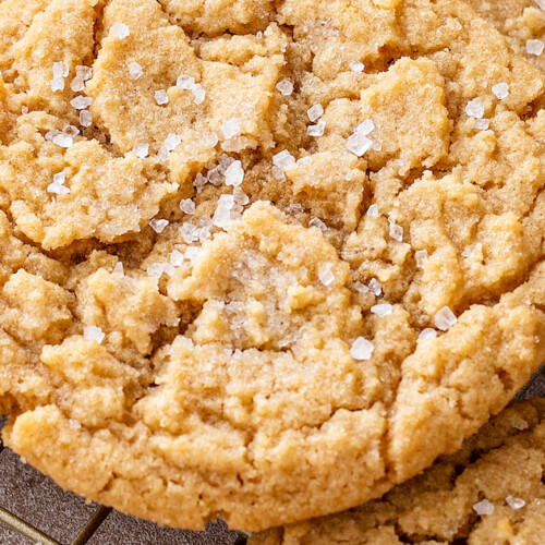 https://thenovicechefblog.com/wp-content/uploads/2023/11/Chewy-Peanut-Butter-Cookies-Image-500x500.jpeg