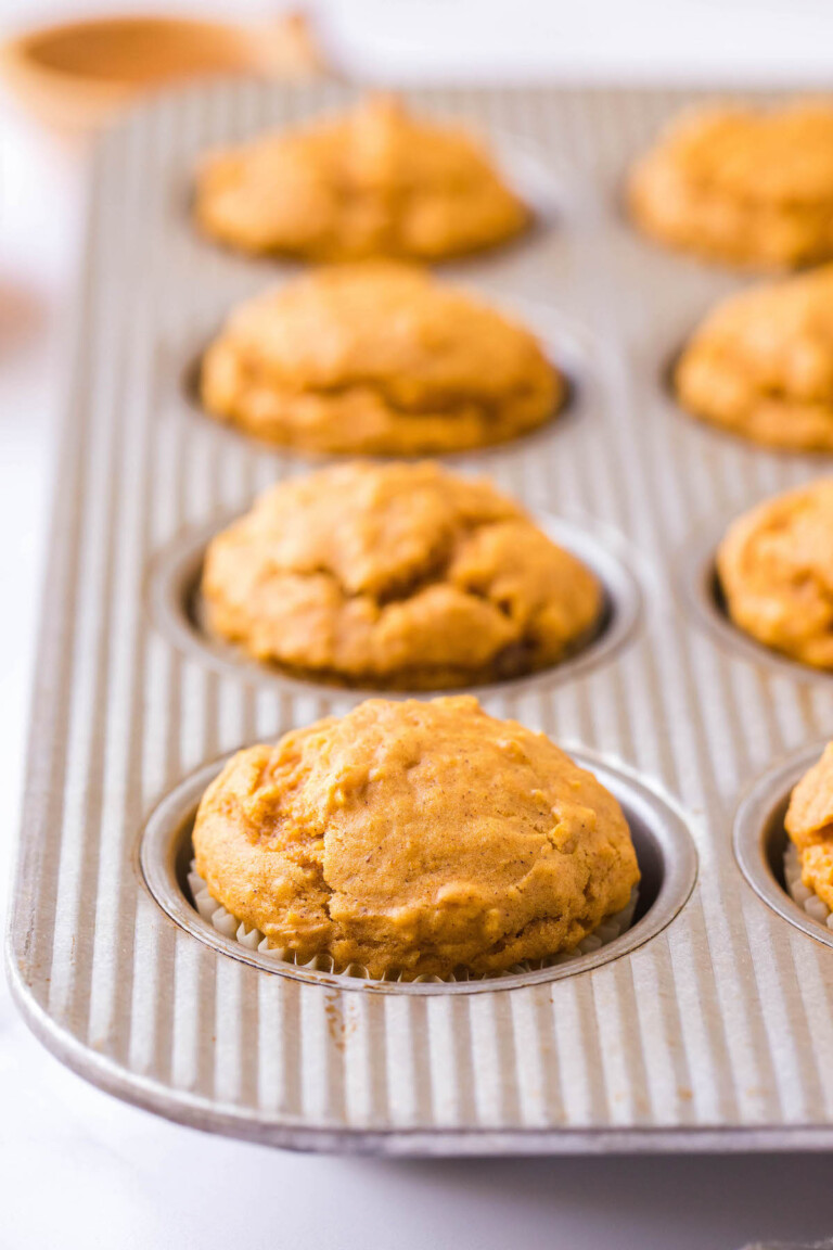 The BEST Pumpkin Oatmeal Muffins | The Novice Chef