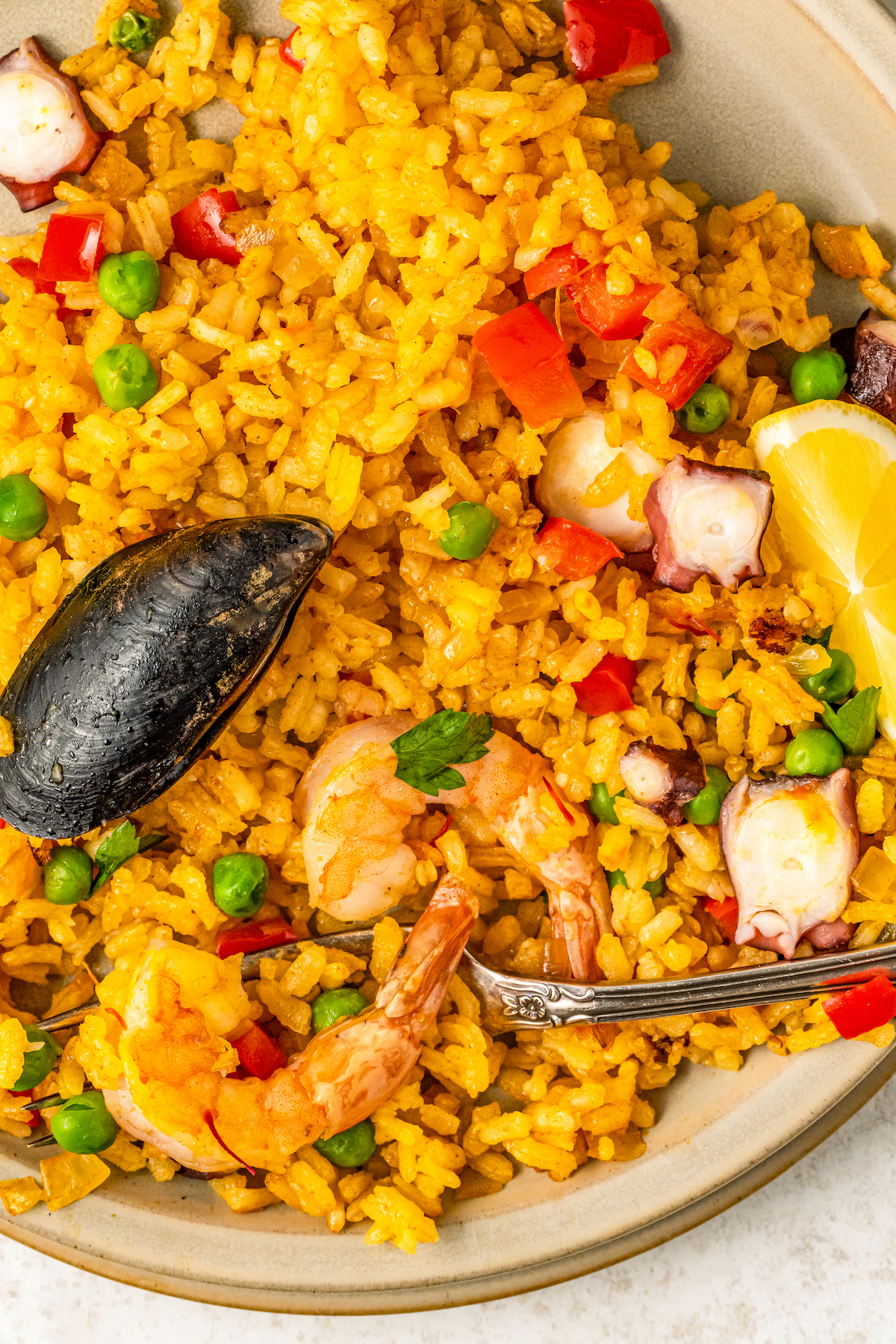 Close-up of paella rice with a fork scooping up a bite of rice with a juicy shrimp.