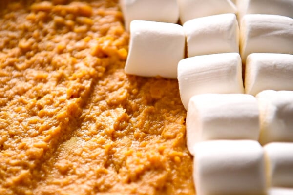Mashed and seasoned sweet potatoes in a casserole dish with large marshmallows being lined up on top.