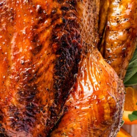 Up close image of a Thanksgiving turkey with golden brown, crispy skin.
