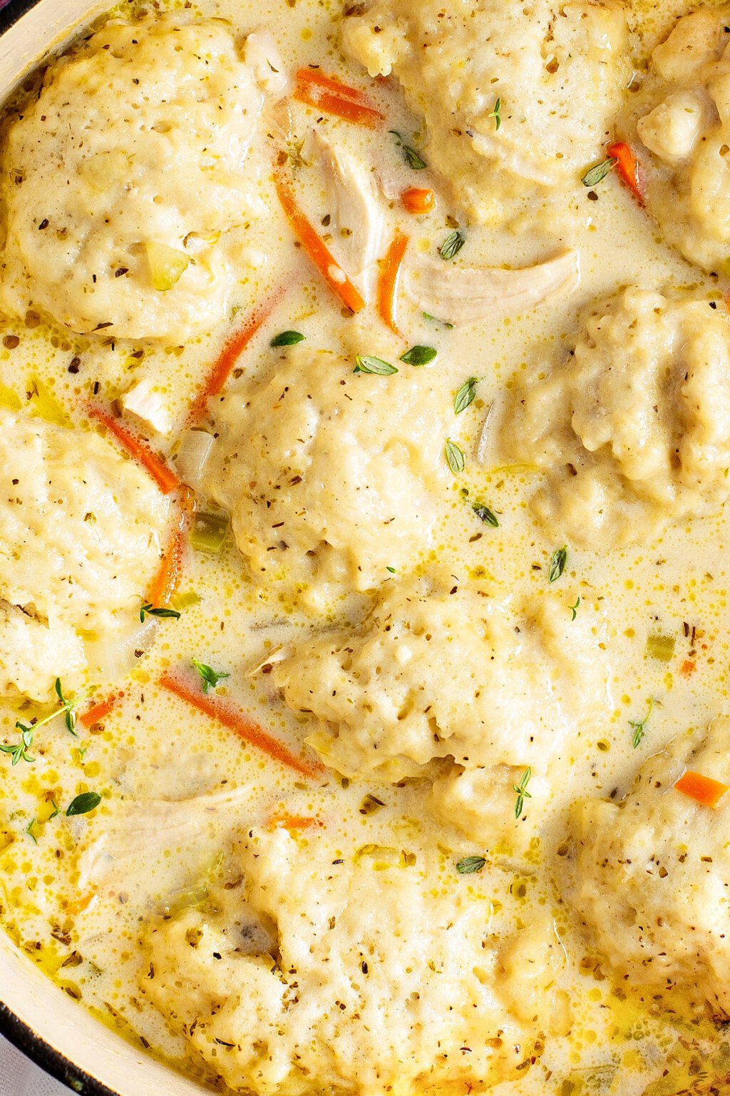 The Best Chicken And Dumplings Recipe The Novice Chef