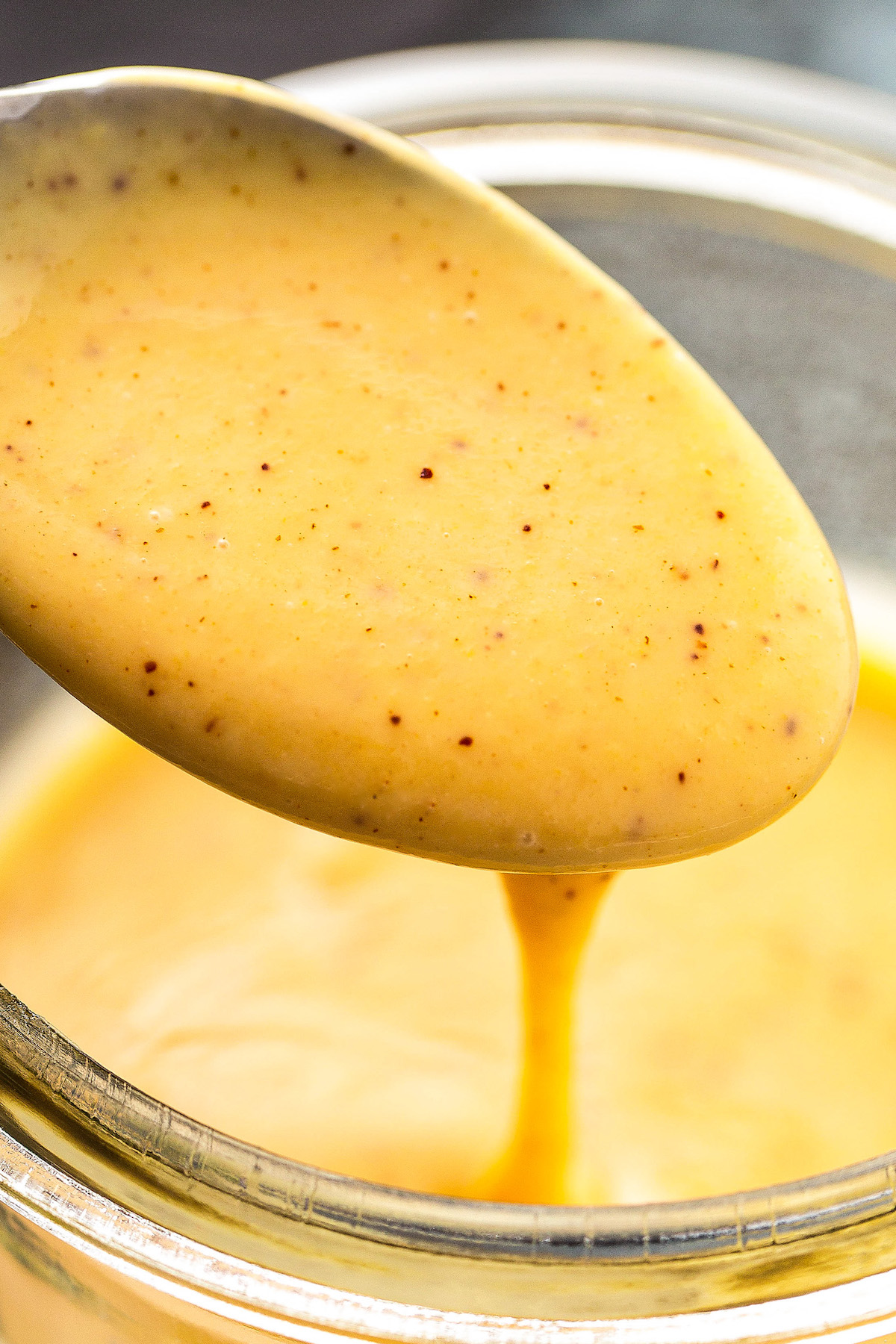 Honey Mustard Recipe