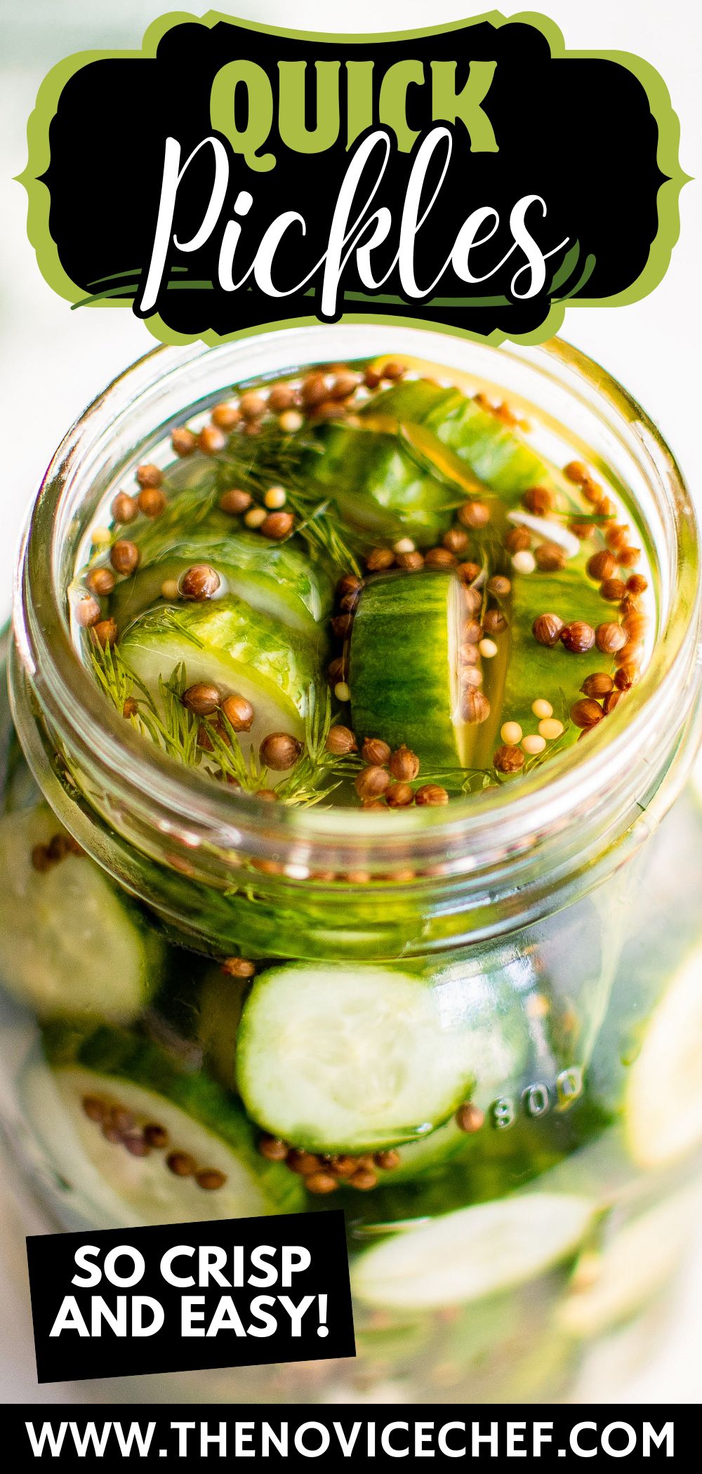 Garlic Dill Fridge Pickles Recipe Every Province