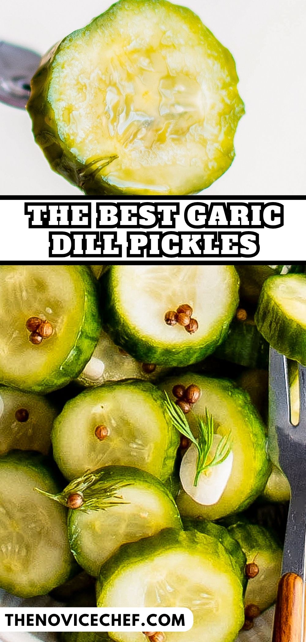 Garlic Dill Fridge Pickles Recipe Every Province