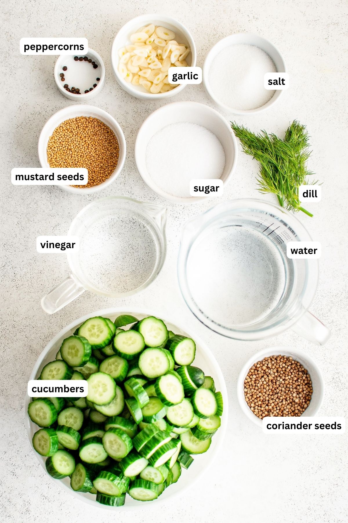 Ingredients for refrigerator pickles recipe arranged in bowls, from top to bottom: peppercorns, garlic, salt, mustard seeds, sugar, dill, vinegar, water, cucumbers and coriander seeds.
