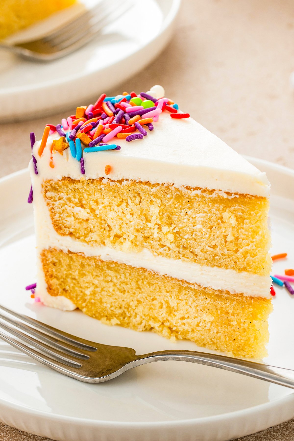 Oh-So-Moist Homemade Vanilla Cake Recipe | The Novice Chef