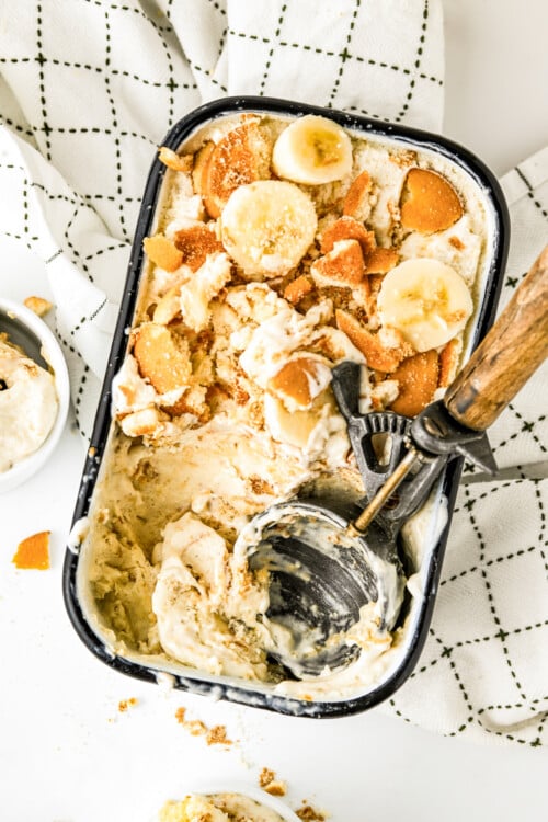 Frozen Banana Pudding Ice Cream in a container
